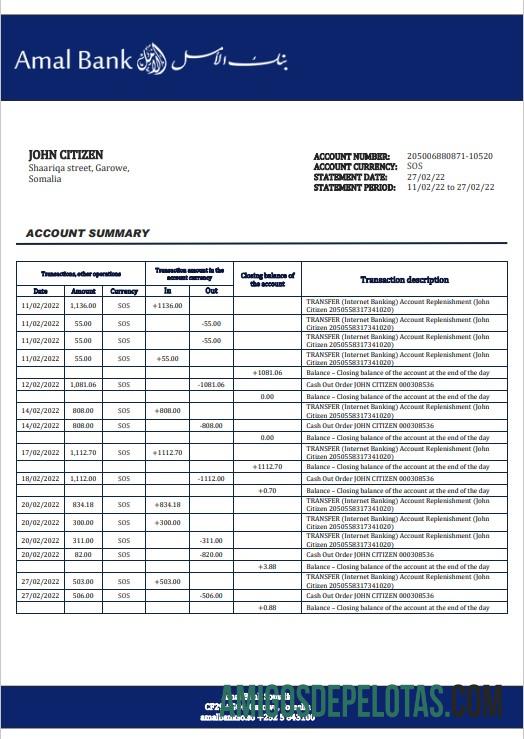 Premium Somalia Amal bank laporan templat in Word and PDF format