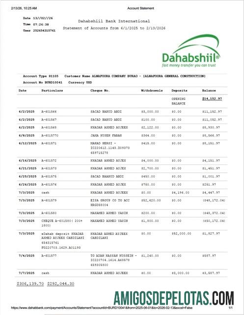 Premium Somalia Dahabshiil bank International rekening laporan┬áWord and PDF templat