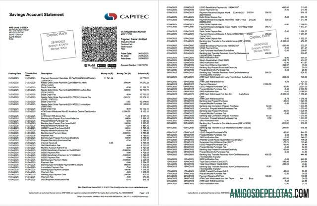 Premium Afrika Selatan Capitec bank rekening laporan Word and PDF templat, 2 pages ┬á