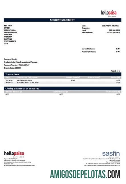 Profesional Afrika Selatan Hellopaisa┬árekening laporan Word and PDF templat