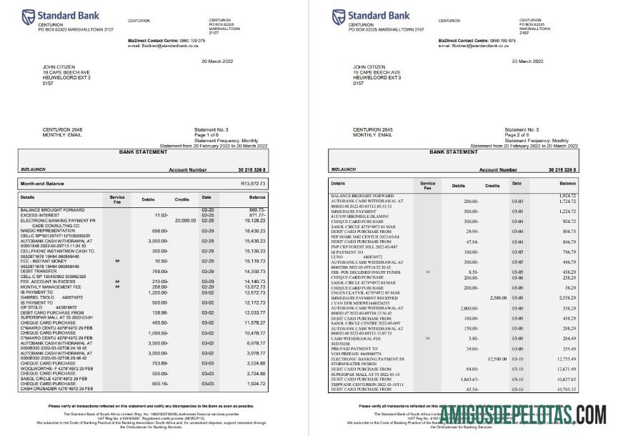 Afrika Selatan standar bank laporan 6 pages makering