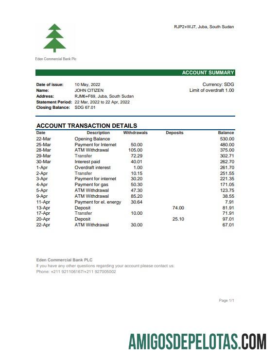 Premium Sudan Selatan Eden komersial bank laporan, Excel and PDF templat