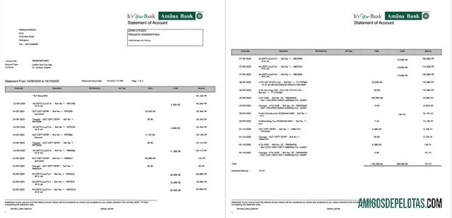Berkualitas Sri Lanka Amana bank laporan of rekening Word and PDF templat, 2 pages