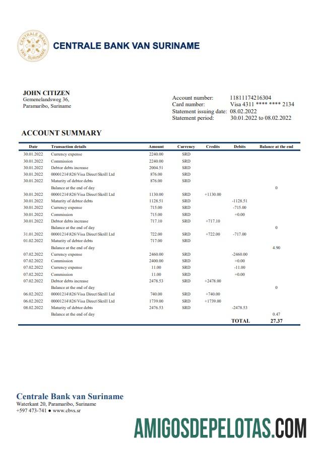 Dapat Diedit Suriname Centrale bank Van Suriname bank laporan templat in Word and PDF format