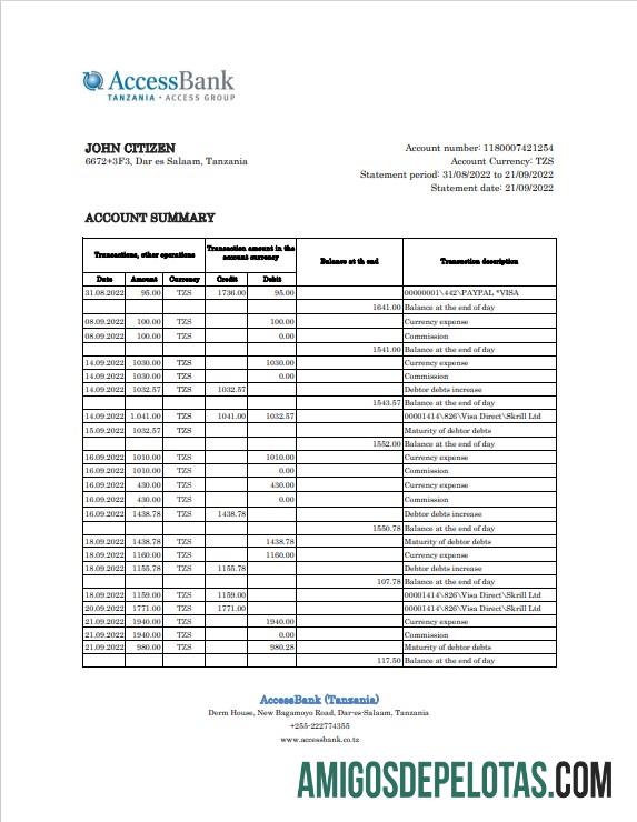 Premium Tanzania Access bank laporan, Excel and PDF templat