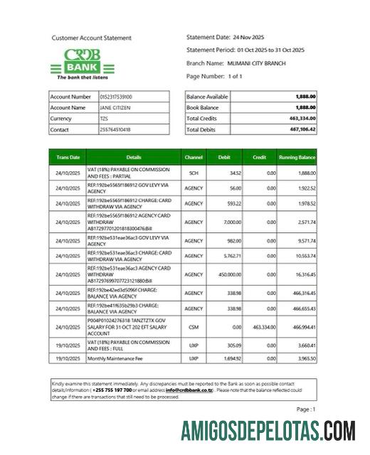 Premium Tanzania CRDB bank rekening laporan Word and PDF templat, versi 2 ┬á