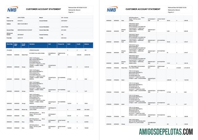 Dapat Diedit Tanzania NMB bank rekening laporan┬áWord and PDF templat, 2 pages