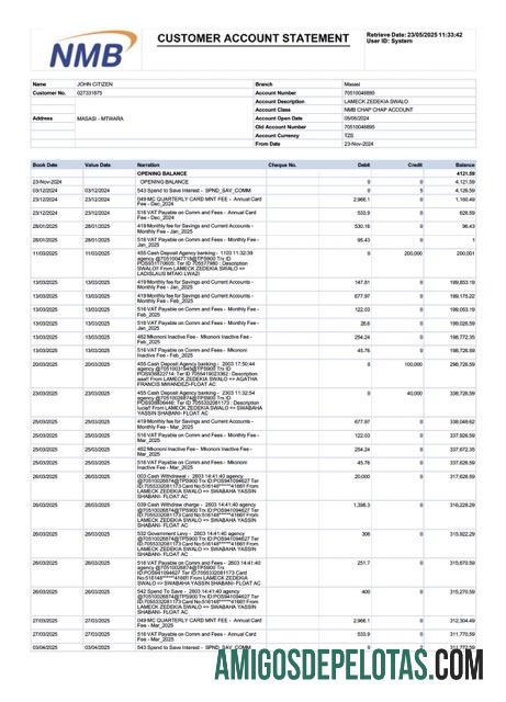 Premium Tanzania NMB bank rekening laporan┬áWord and PDF templat