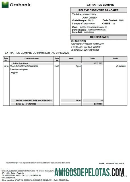 Premium Togo Orabank rekening laporan┬áWord and PDF templat