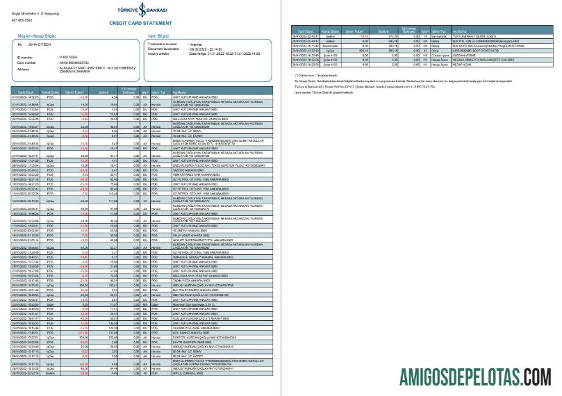 Turki Bankasi bank laporan 2 pages sampel
