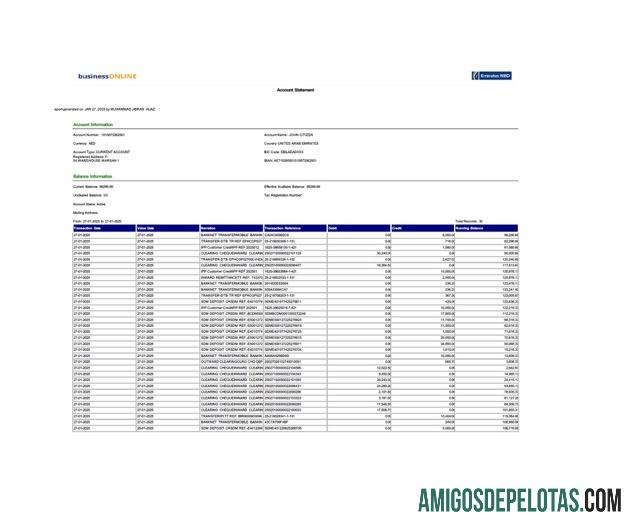 Dapat Diedit UEA┬áEmirates NBD rekening laporan┬áWord and PDF templat, versi 2