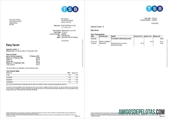 Premium Inggris TSB bank rekening laporan Word and PDF templat, 2 pages