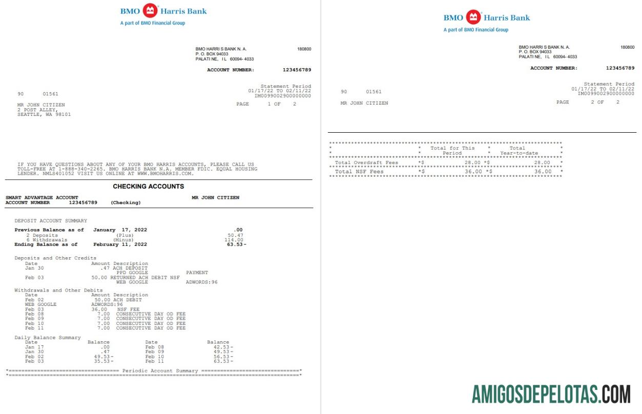 Profesional AS BMO Harris bank laporan Word and PDF templat, 3 pages