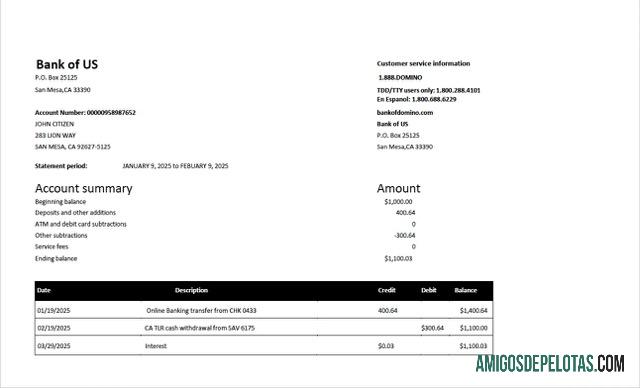Profesional AS bank of US rekening laporan┬áWord and PDF templat