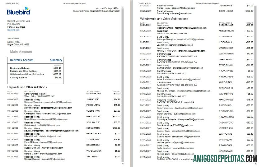 Profesional AS Bluebird bank laporan Word and PDF templat, 3 pages, versi 2