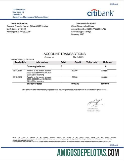 Profesional AS Citibank rekening laporan┬áWord and PDF templat