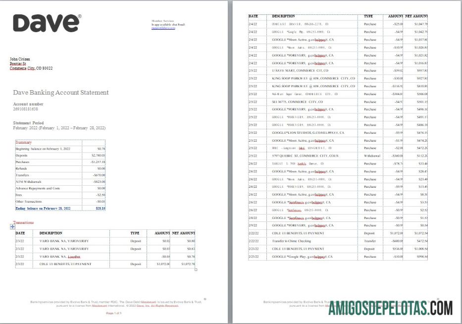 Premium AS Dave bank rekening laporan, Word and PDF templat, 5 pages