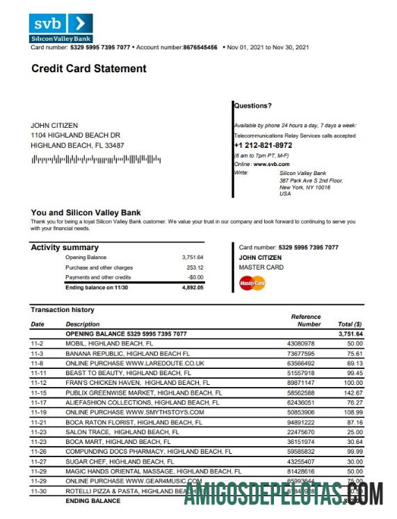 Dapat Diedit AS Florida Silicon Valley bank Kredit kartu laporan templat in Excel and PDF format