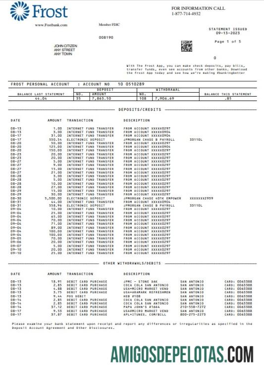 Berkualitas AS Frost bank laporan Word and PDF templat