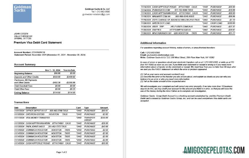 Premium AS Goldman Sachs bank Premium visa Debit kartu laporan Word and PDF templat