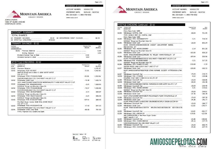 AS Mountain Amerika Kredit serikat laporan 6 pages sampel