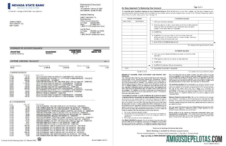 AS Nevada State bank anytime checking 4pages pratinjau