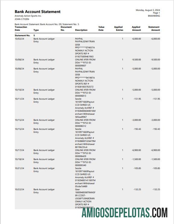AS Baru York bank laporan 3 ΓÇô 6 months Word and PDF Contoh pratinjau