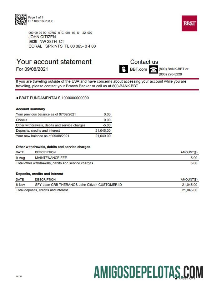 Profesional AS North Carolina BB&T Corp. bank rekening laporan templat in Excel and PDF format