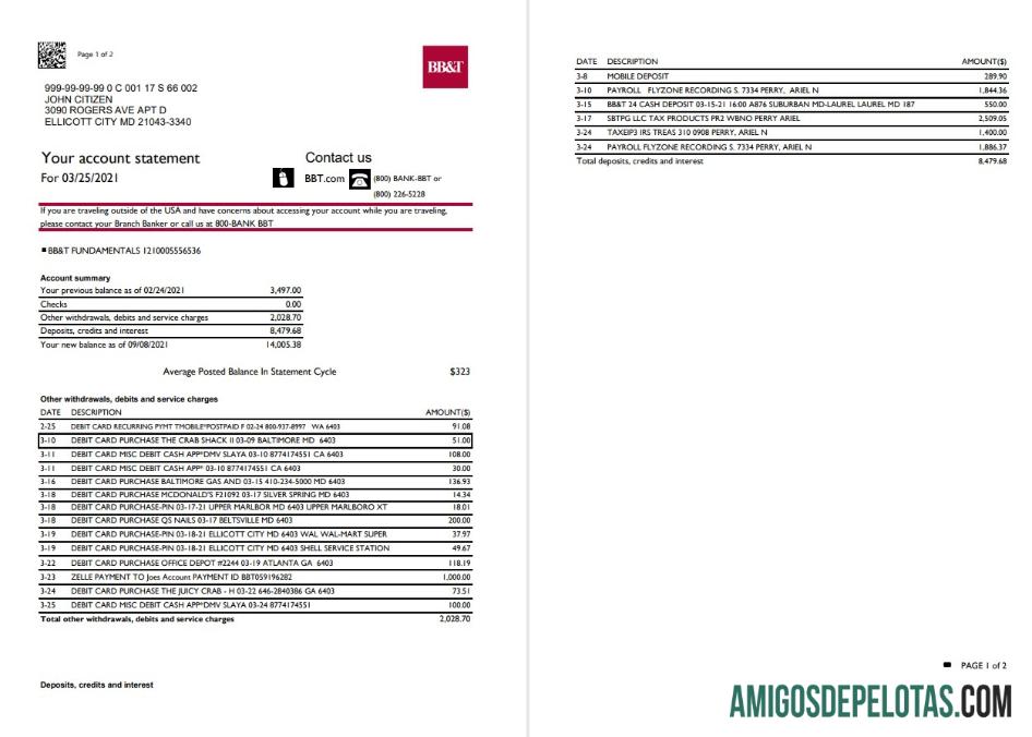 Profesional AS North Carolina BB&T Corp. bank laporan templat in Excel and PDF format (2 pages)