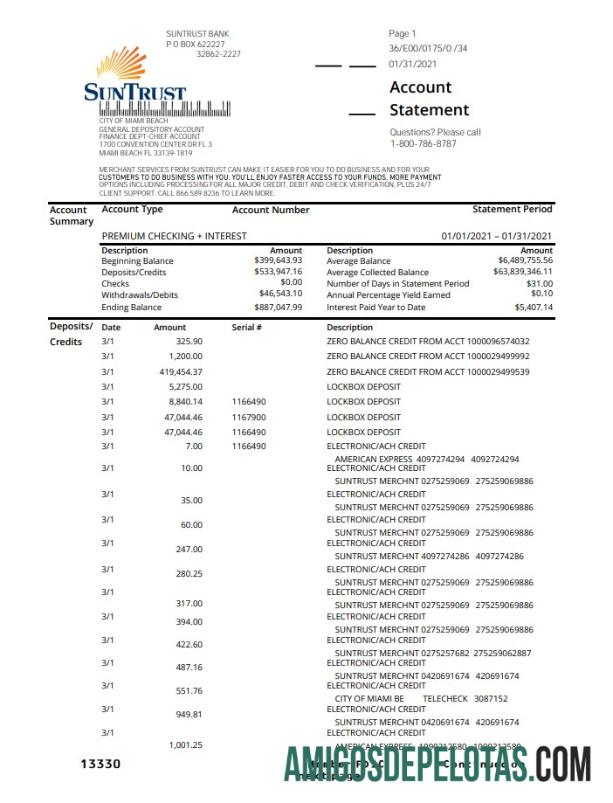 Premium AS SunTrust bank proof of address laporan templat in .XLS and .PDF format