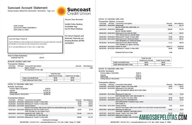 Premium AS Suncoast bank rekening laporan Word and PDF templat, 2 pages