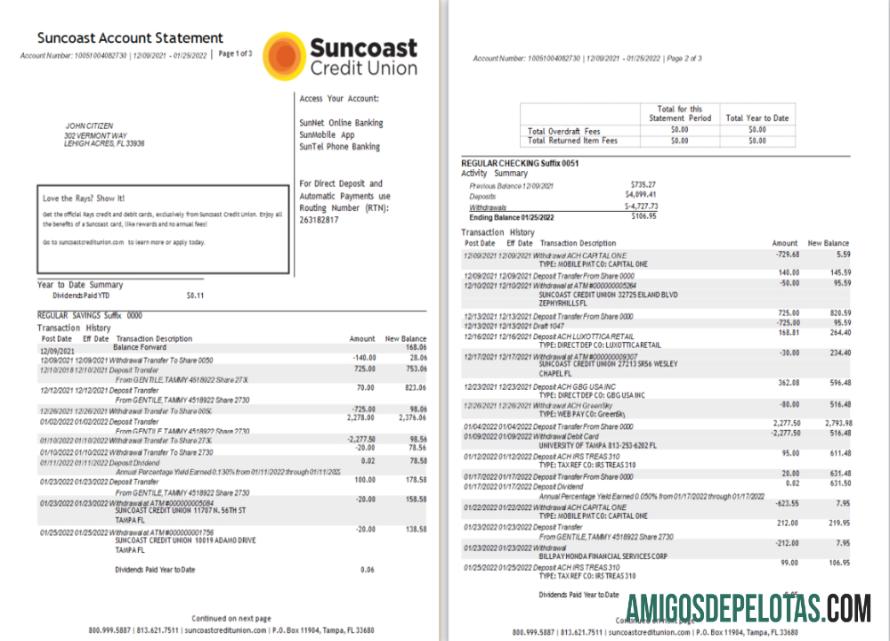 Premium AS Suncoast bank laporan Word and PDF templat 1 2