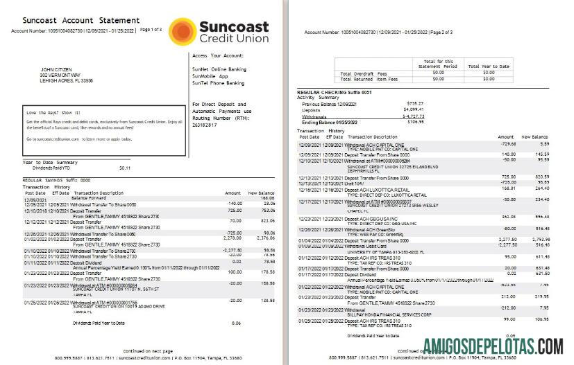Berkualitas AS Suncoast bank laporan Word and PDF templat, 3 pages