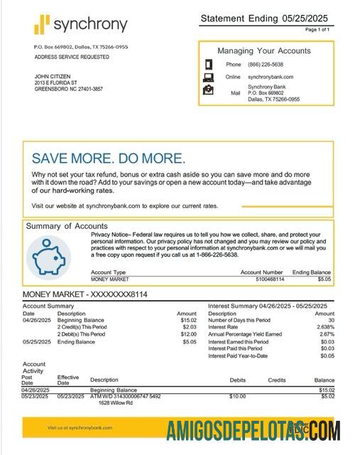 Premium AS Synchrony bank laporan┬áWord and PDF templat