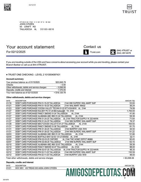 Profesional AS Truist bank rekening laporan Word and PDF templat