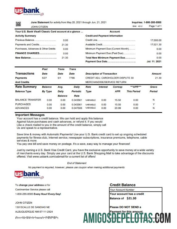 Berkualitas AS U.S. bank Kredit kartu laporan templat in Excel and PDF Berkas format