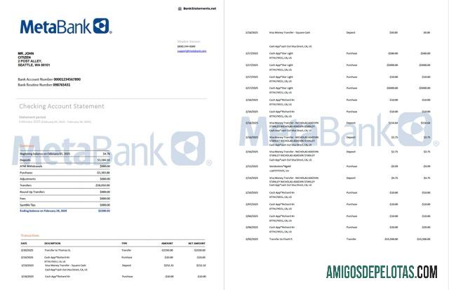 Berkualitas AS Washington Metabank rekening laporan┬áWord and PDF templat, 2 pages
