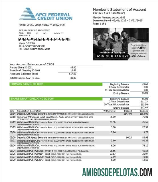 Premium AS┬áAPCI Federal Kredit serikat┬álaporan of rekening┬áWord and PDF templat