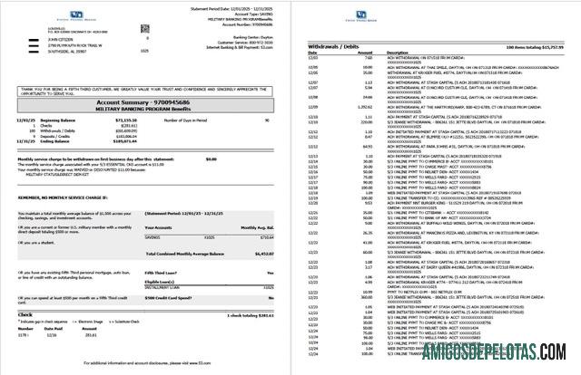 Profesional AS┬áFifth Third bank rekening laporan Word and PDF templat, 2 pages