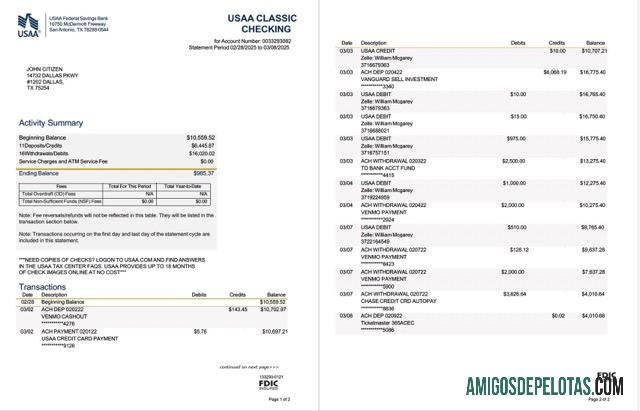 Profesional USAA Federal Savings bank laporan Word and PDF templat, 2 pages