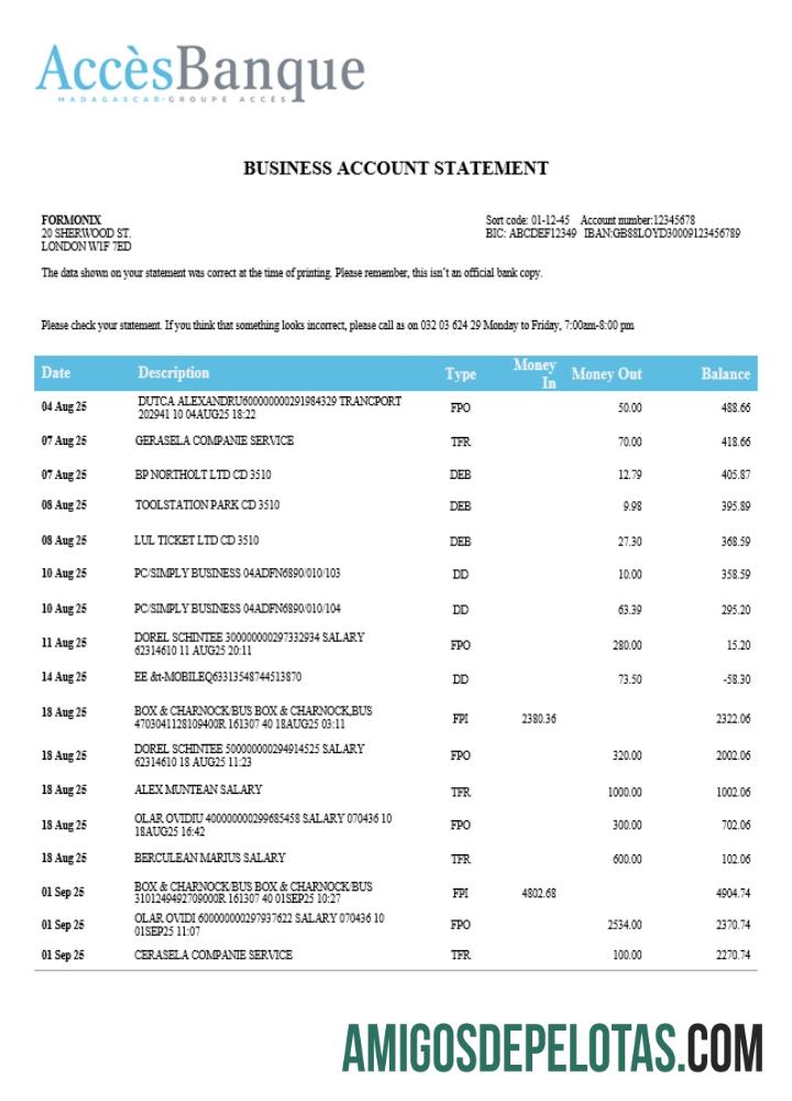 Profesional Access firm rekening laporan Word and PDF templat (1)