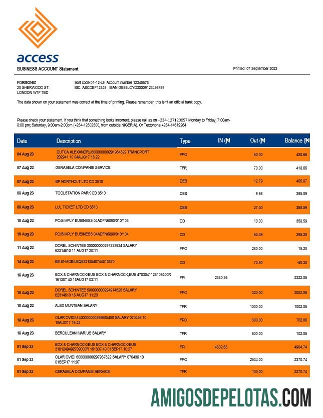 Premium Access bank Perusahaan checking rekening laporan Word and PDF templat