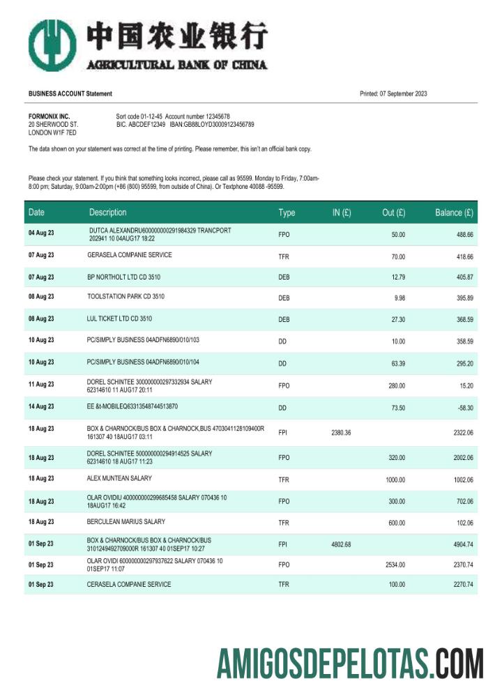 Profesional Agricultural bank of Tiongkok bisnis rekening laporan Word and PDF templat