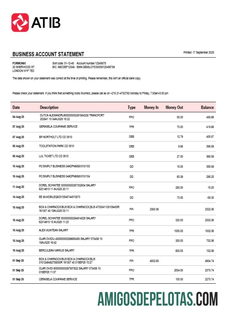Profesional Assaray (ATIB)firm rekening laporan Word and PDF templat (1)