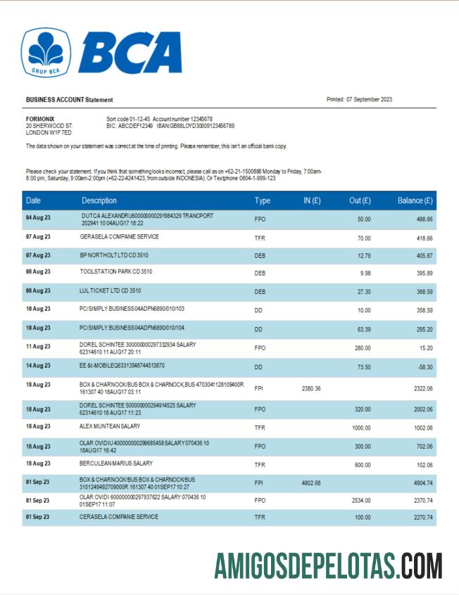 Profesional BCA bank organization laporan Word and PDF templat