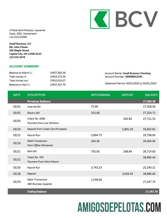 Premium BCV bank Perusahaan rekening laporan Word and PDF templat