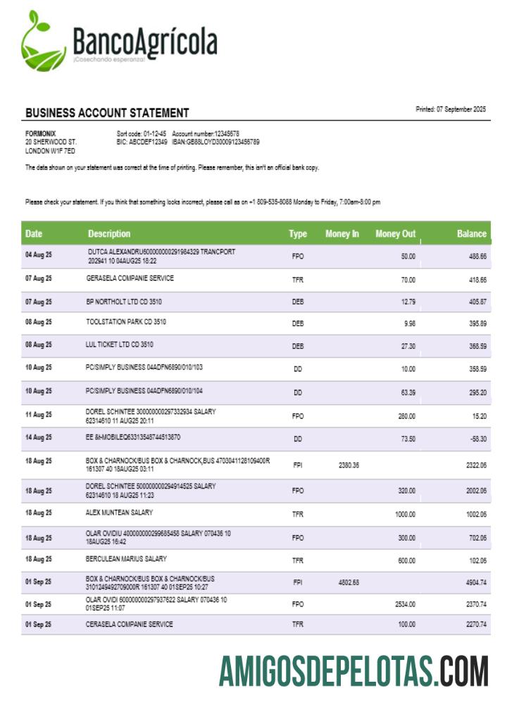 Realistis Banco Agricola bisnis rekening laporan Word and PDF templat