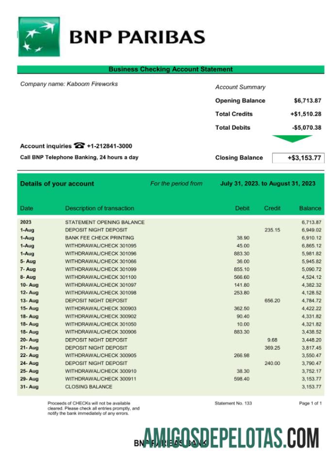 Realistis bank BNP Paribas Perusahaan laporan Word and PDF templat