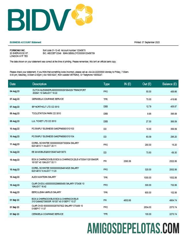 Profesional bank for Investasi and Development of Vietnam (BIDV) bisnis laporan Word and PDF templat