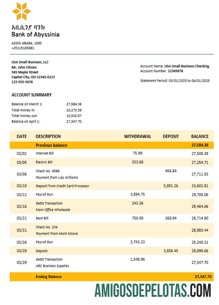 bank of Abyssinia bisnis bank laporan Word and PDF format templat